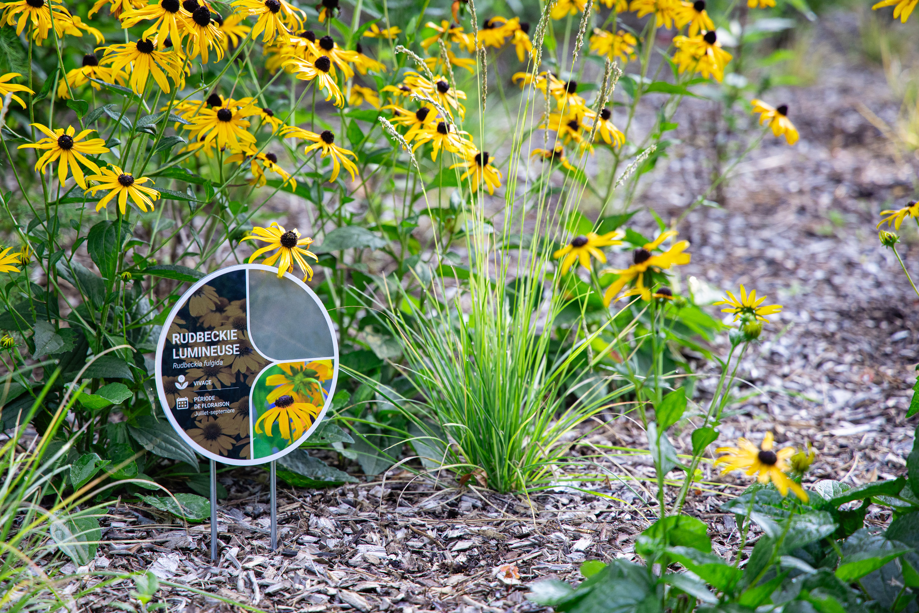 Parc Camille-Michel 03