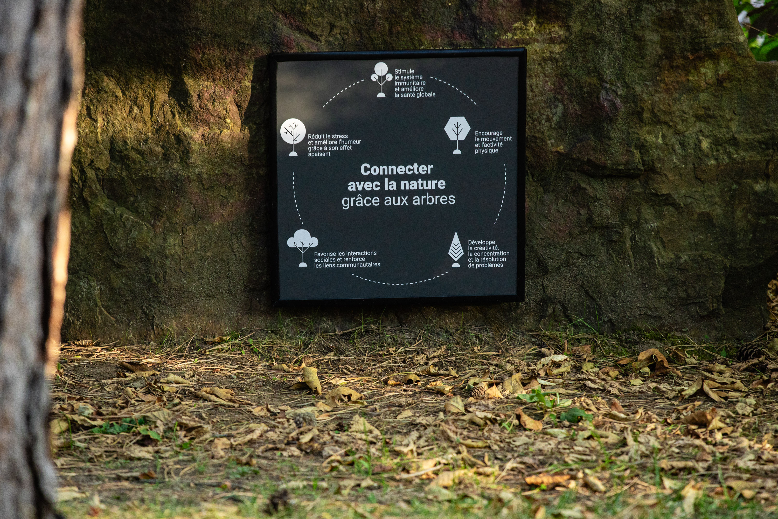 Parc Camille-Michel 04