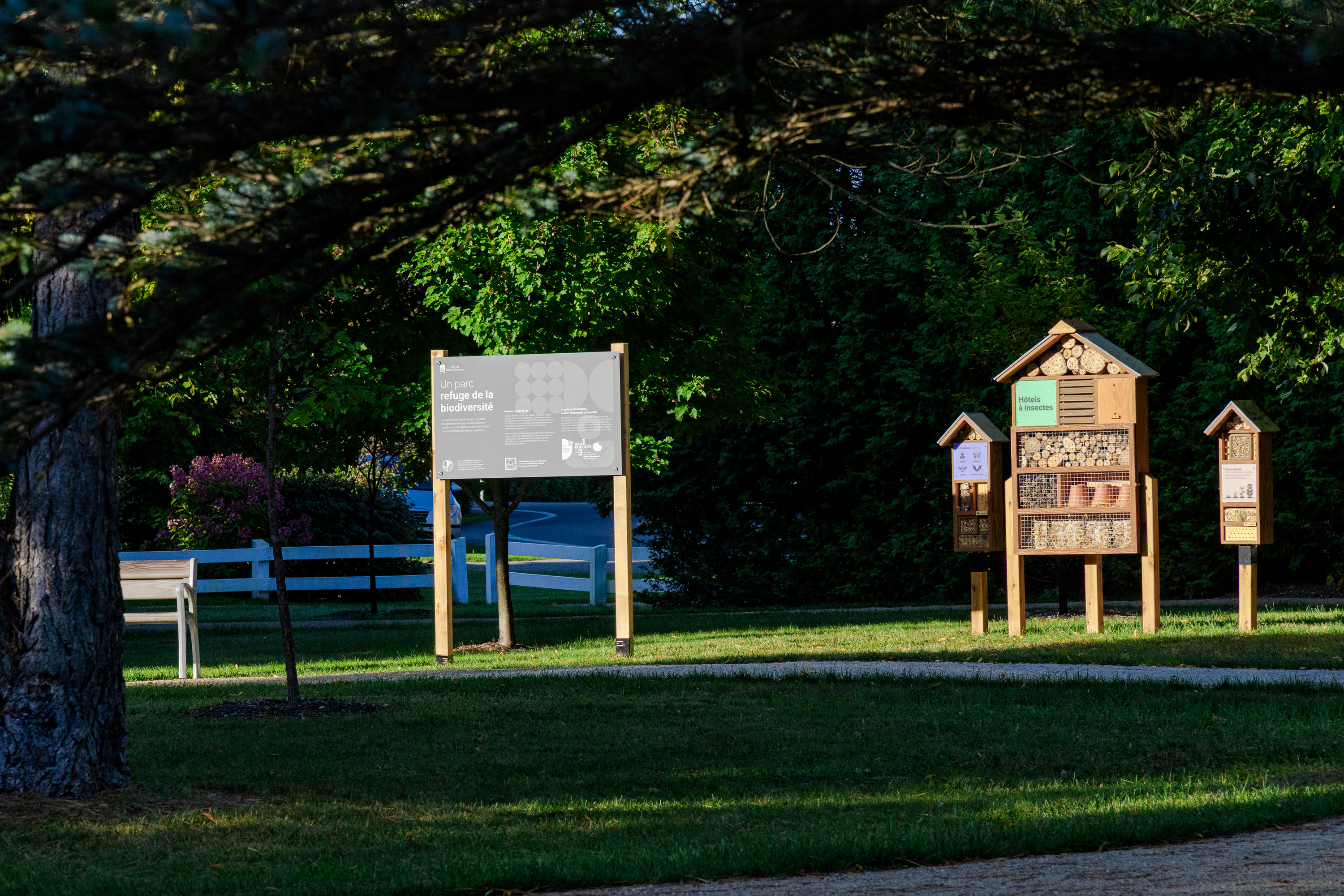 Parc Camille-Michel 06