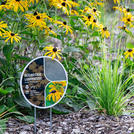 Ville de Saint-Sauveur