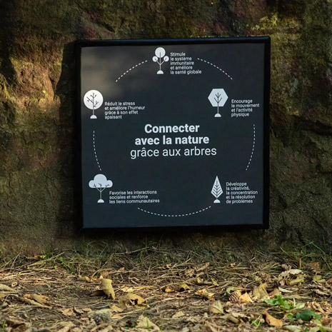 Ville de Saint-Sauveur