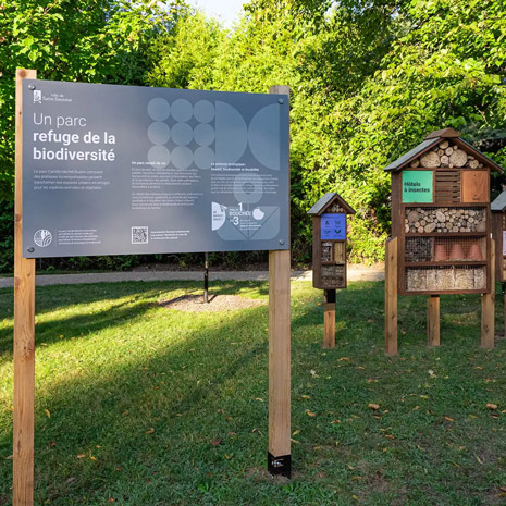 Ville de Saint-Sauveur